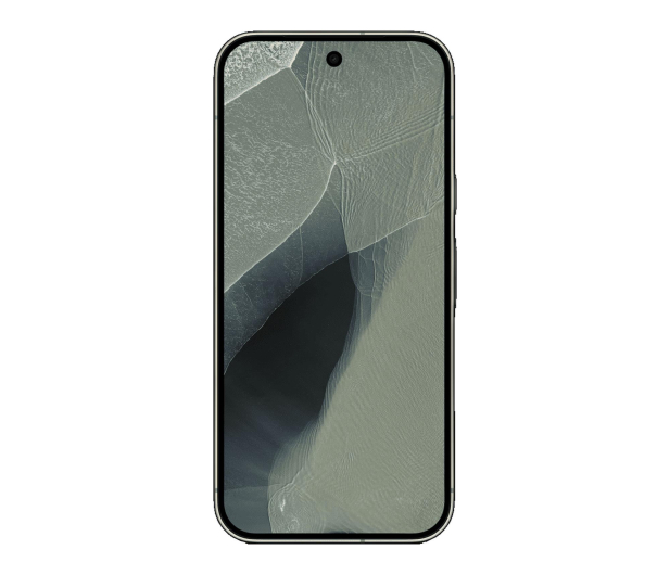 Google Pixel 11 Pro 12/256GB Szałwiowy - 1583410 - zdjęcie 2
